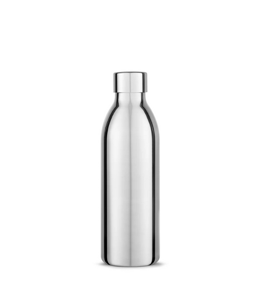 Stainless Steel Insulated Bottle 650ml